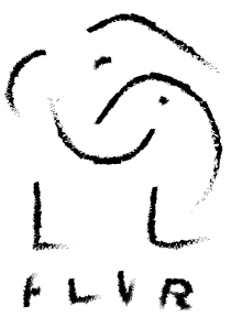 logo flvr 2